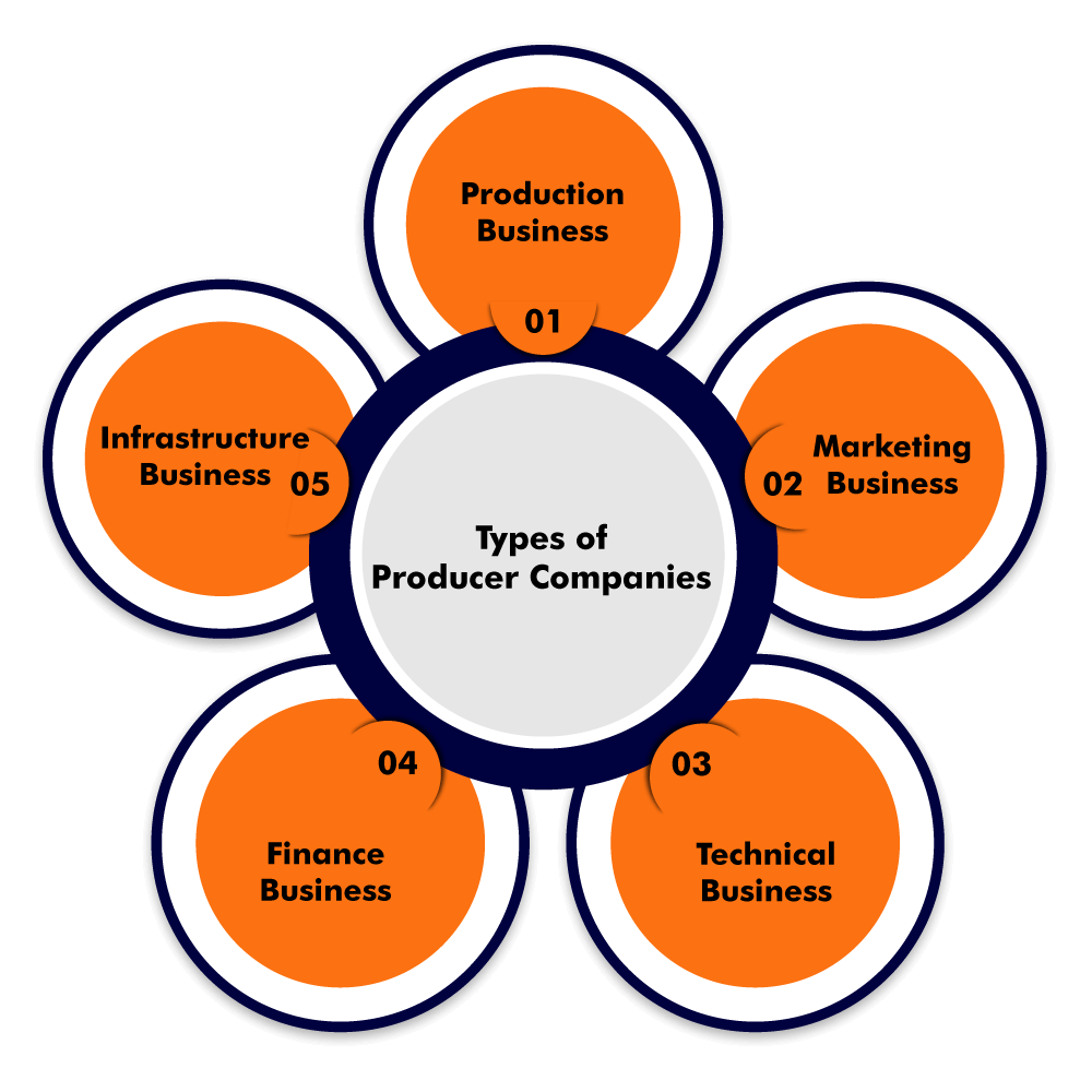 Types of Producer Companies